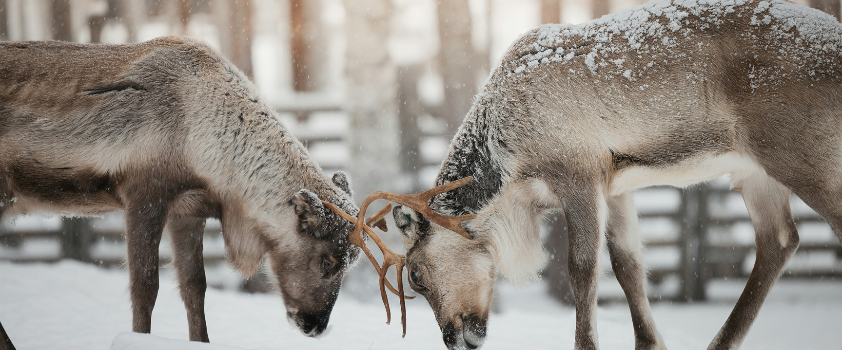 Hero achtergrondafbeelding