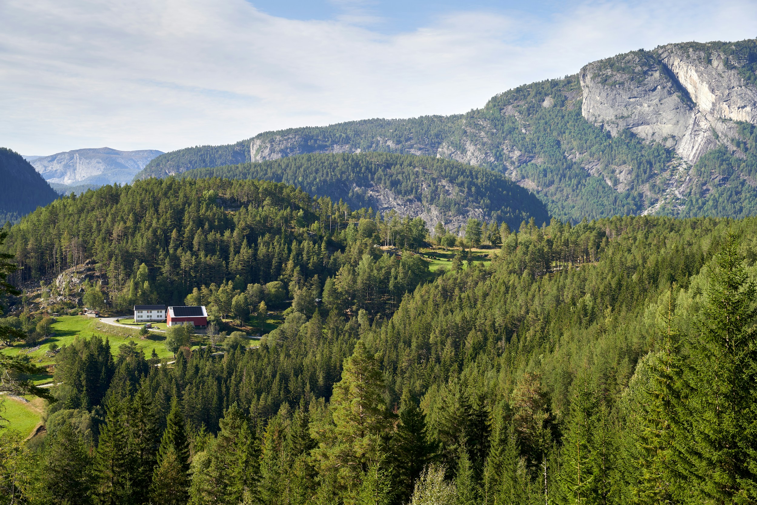Luchtfoto van een groen Noors berglandschap met dennenbossen en traditionele boerderijen